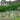 Old Town Cemetery, below Stirling Castle, Stirling, Scotland