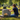 Respecting the Dead: Etiquette, Traditions & Meaning