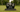 Grave Markers vs. Headstones