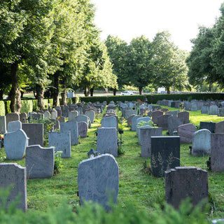 Cemetery headstones surrounded by garden trees