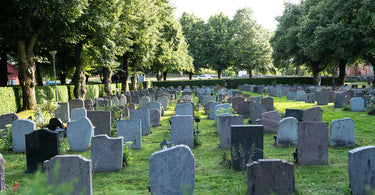 Cemetery headstones surrounded by garden trees