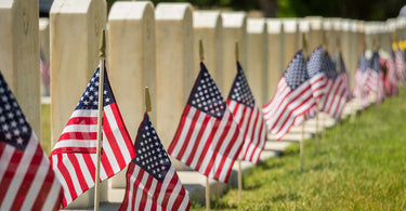 national cemetery with American flags in front of each headstone