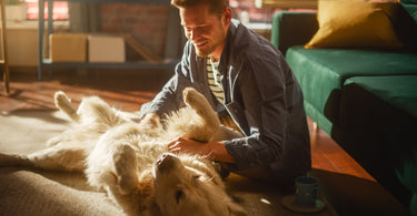 man smiling while petting a white dog laying down in a living room