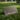 Bronze Single Headstone (Takes 60-120 Days to Complete) / 24" x 12"