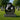 Black Granite Companion Teardrop Headstone | Custom Double Upright Memorial Monument | 30" x 28"